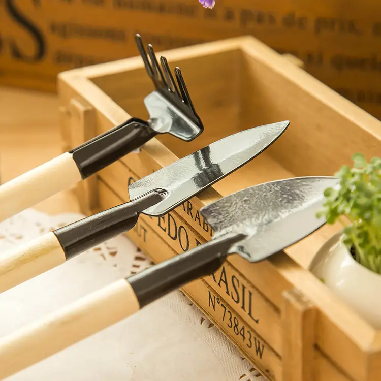 đHidropĂłnikus, ritka, kĂ©tszĂnƱ rĂłzsahagymĂĄk: a termĂ©szet szĂnes csodĂĄja đč