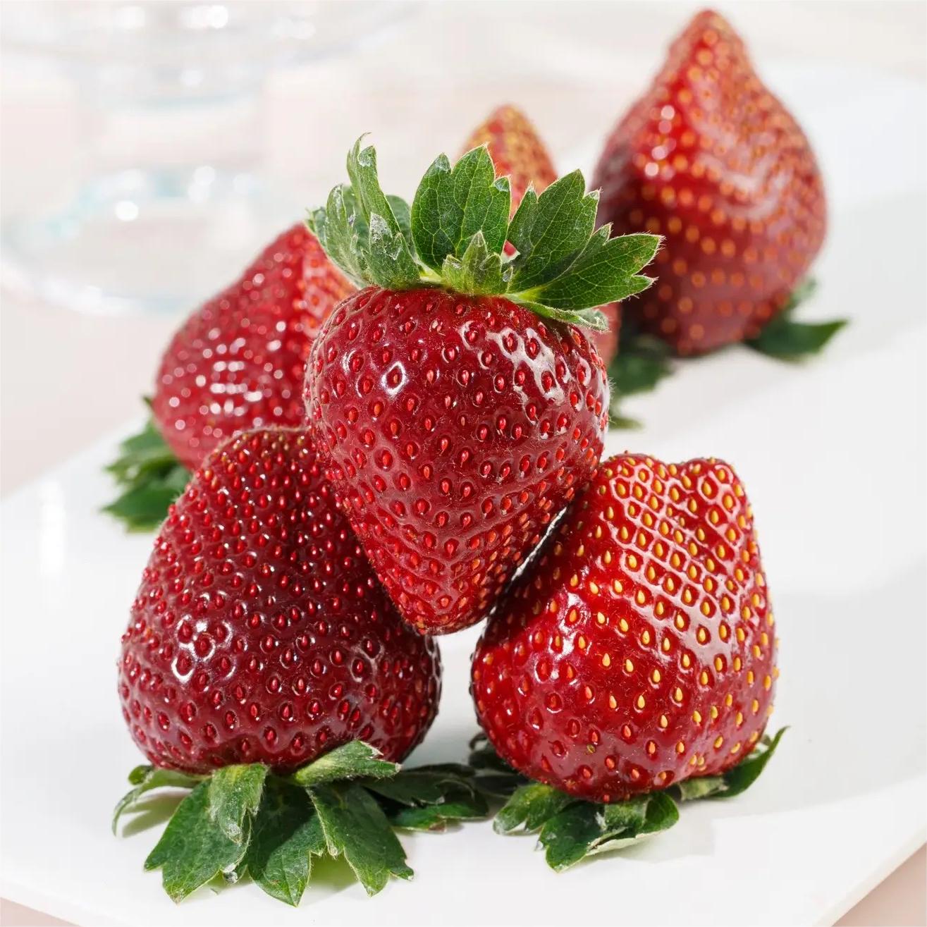 🔥⏰Utolsó napi akció🌱FEKETE GYÖNGY EPERMAGOK