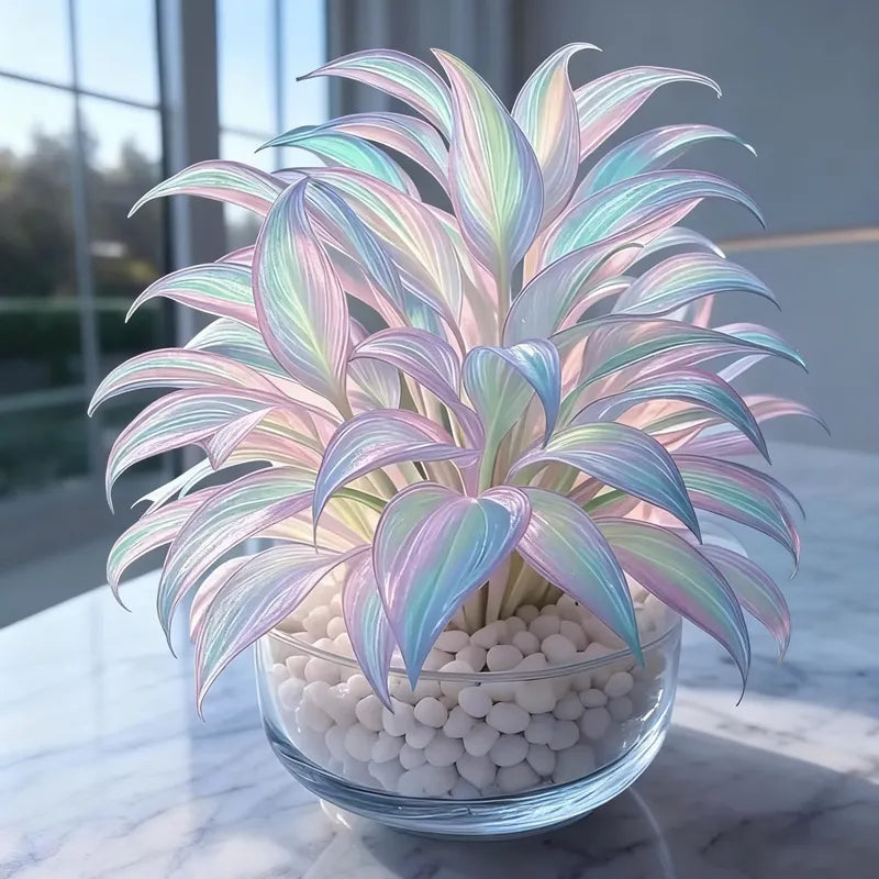 Rainbow Haze növényi magok