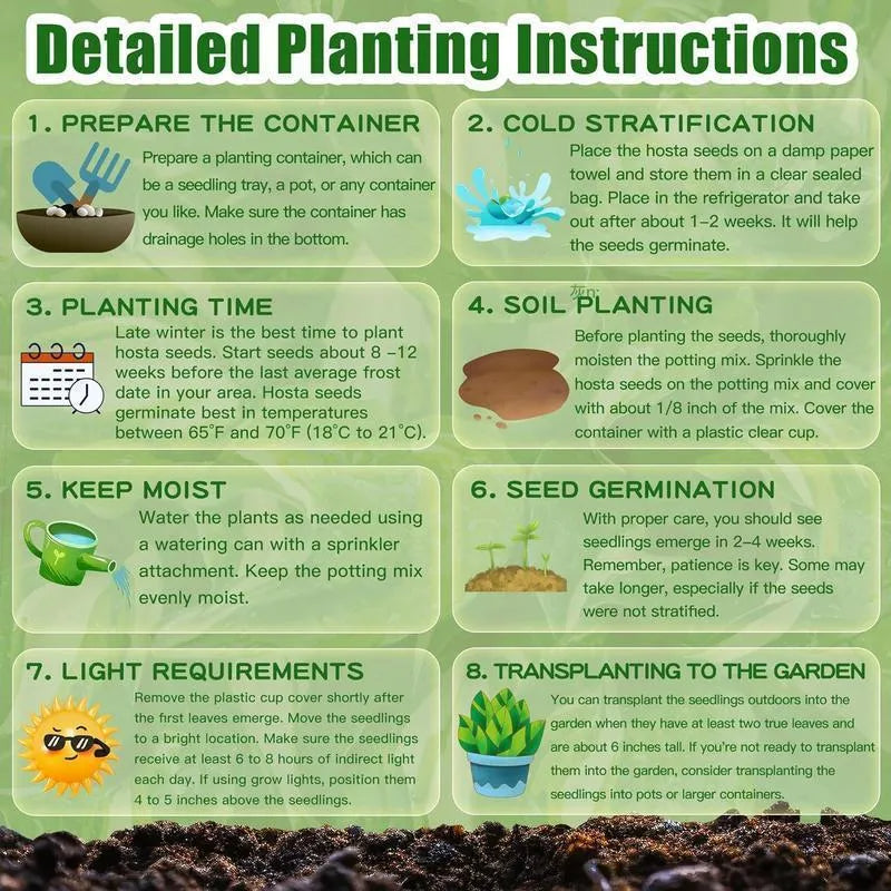 Rainbow Haze növényi magok