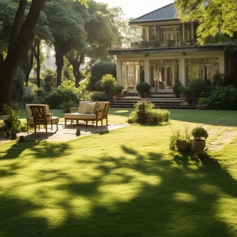 🔥🌱 Törpe örökzöld fűmagok négy évszakra🌾 | Hozd létre a tökéletes gyepedet itt🌼