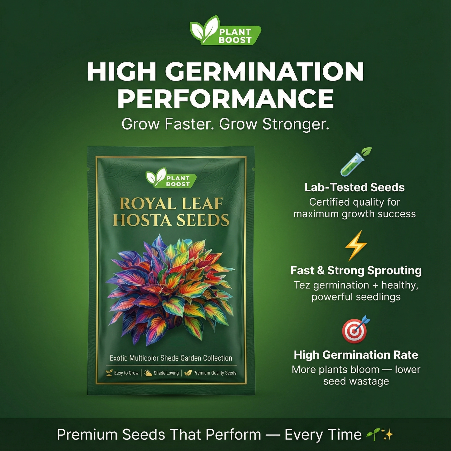 Royal Leaf vendégmagok