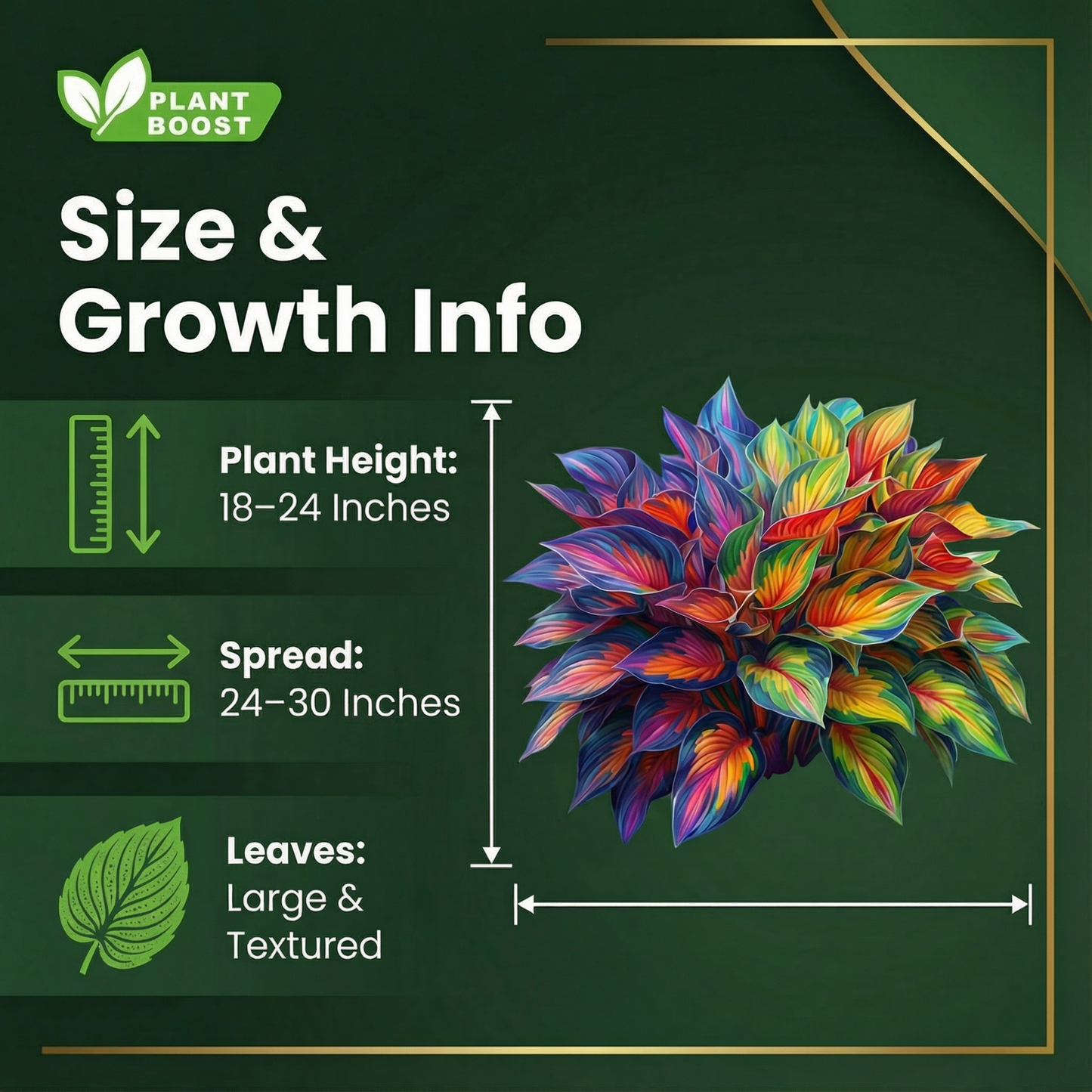 Royal Leaf vendégmagok