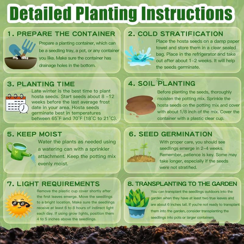 🔥Kiváló ajánlat - 49% kedvezmény🔥🌱Vegyes rózsamagok - GMO-mentes, könnyen termeszthető, gyönyörű évelő virágok
