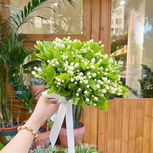 UTOLSÓ NAPOS AKCIÓ 35% KEDVEZMÉNY 🌸 Jázmin cserepes növény (🌱Túlélési garancia: Ingyenes pótlás🌿)