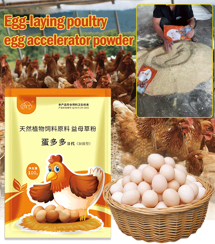 【2/4/6 db】 🦆🐓🦤Táplálékkiegészítő csirkék, kacsák és libák tojástermeléséhez. Tápanyagkiegészítő takarmányozáshoz.