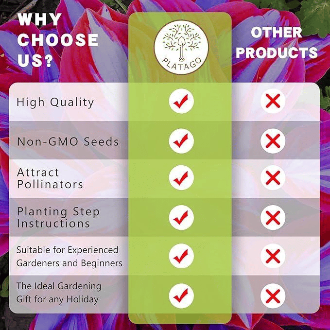 🌿 Ritka Hosta hagymák🎁 Különleges ajánlat 2025