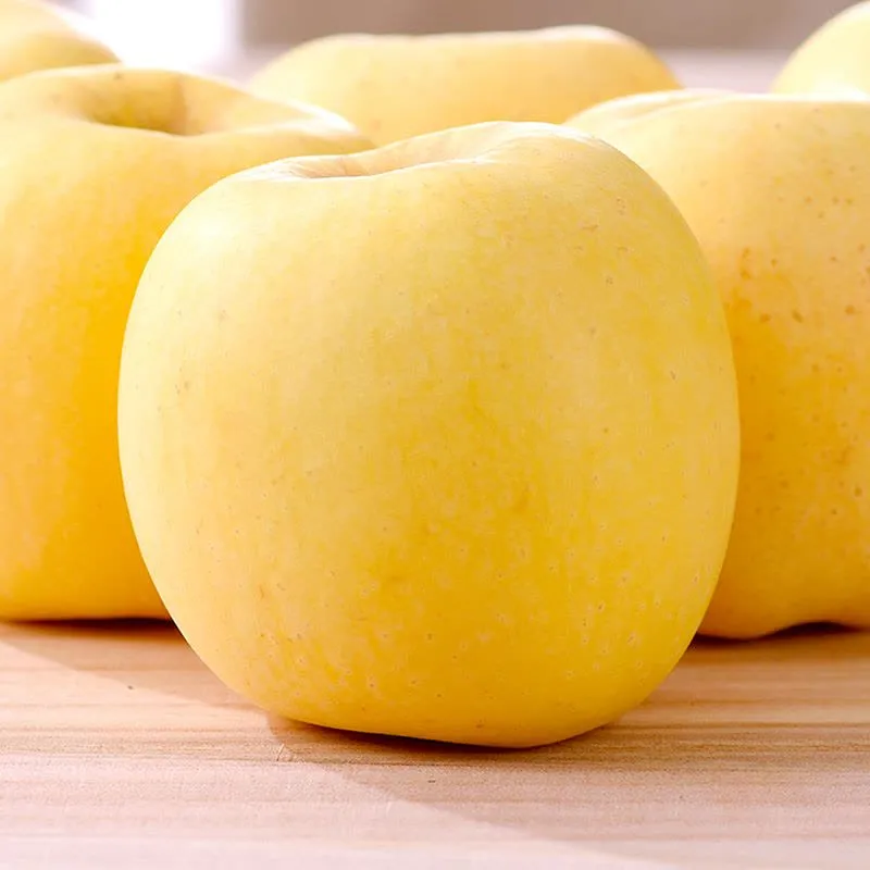 Aranyalma magvak, 90%-os túlélési arány