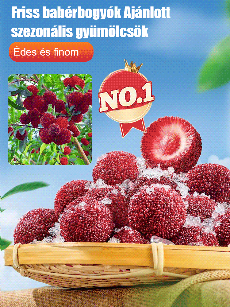 Keleti eperfa magvak ültetése házi kertben