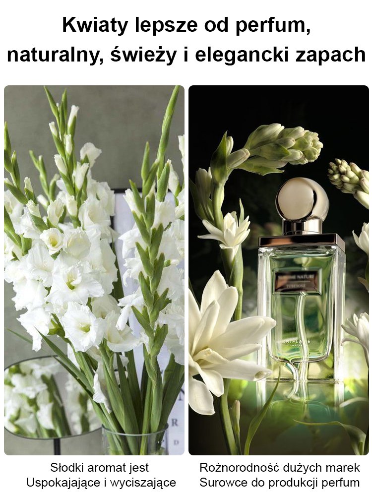 【Illatosabb, mint a parfüm】A tubarózsa virágai több ezer kilométeren át illatoznak, minden évben virágzik.