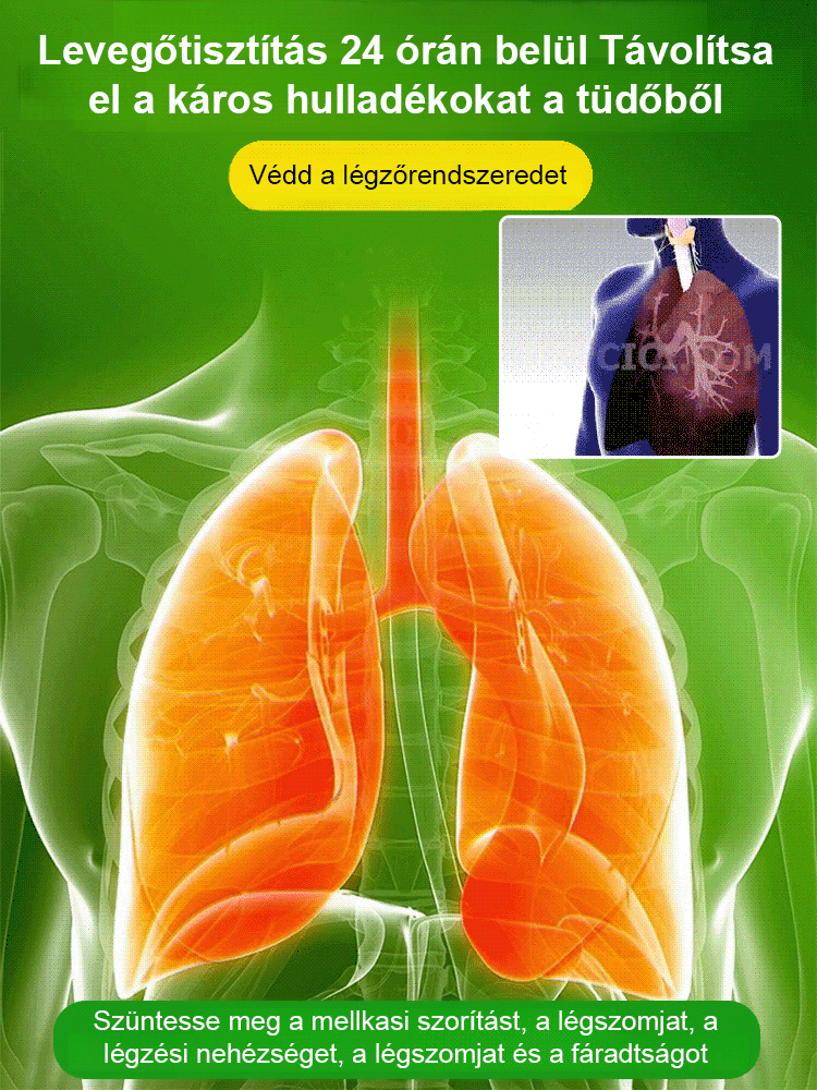 【Ha víz éri, életre kel】Négyszezonos virágzó vízben termesztett brazil szerencsefa