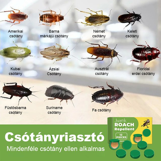 Csótányirtó szer