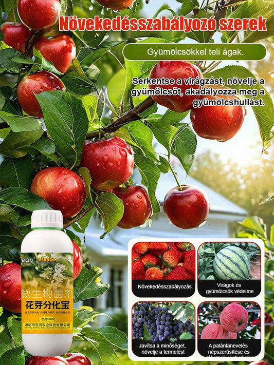 Virágrügy differenciálódás kincs