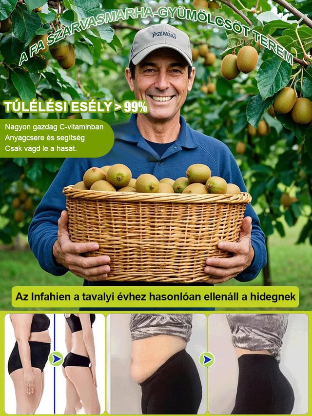 Fokozza a férfiak erejét Új zélandi bio kivi facsemete