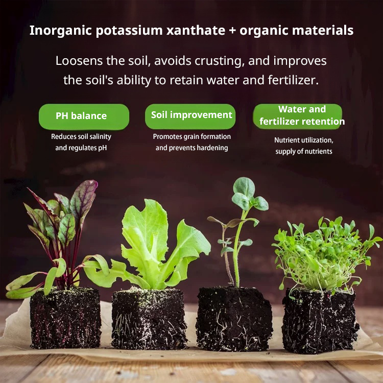 [Tiktok Hot Style] Holtfa virágzás-talajaktivátor-kondicionálás