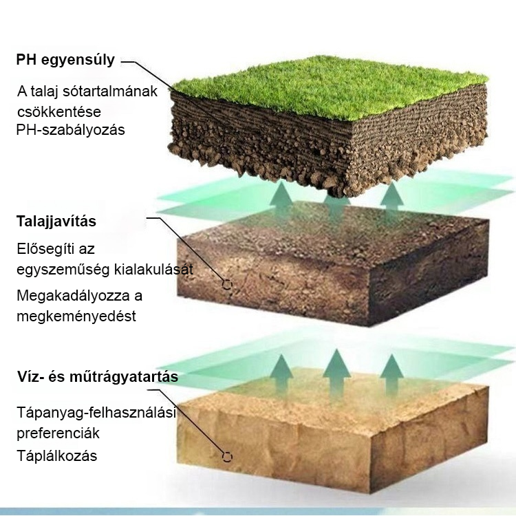 [Tiktok Hot Style] Holtfa virágzás-talajaktivátor-kondicionálás