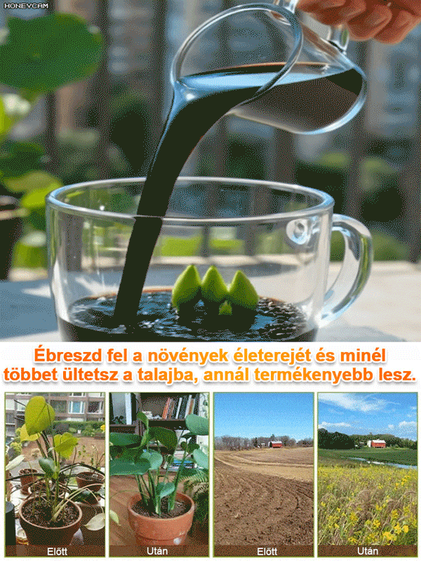 【Halott is élhet】Talaj tápanyag aktivátor