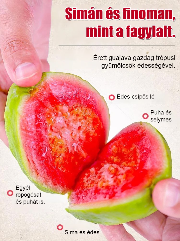 【Lágy és édes】Vörös szív guava magok