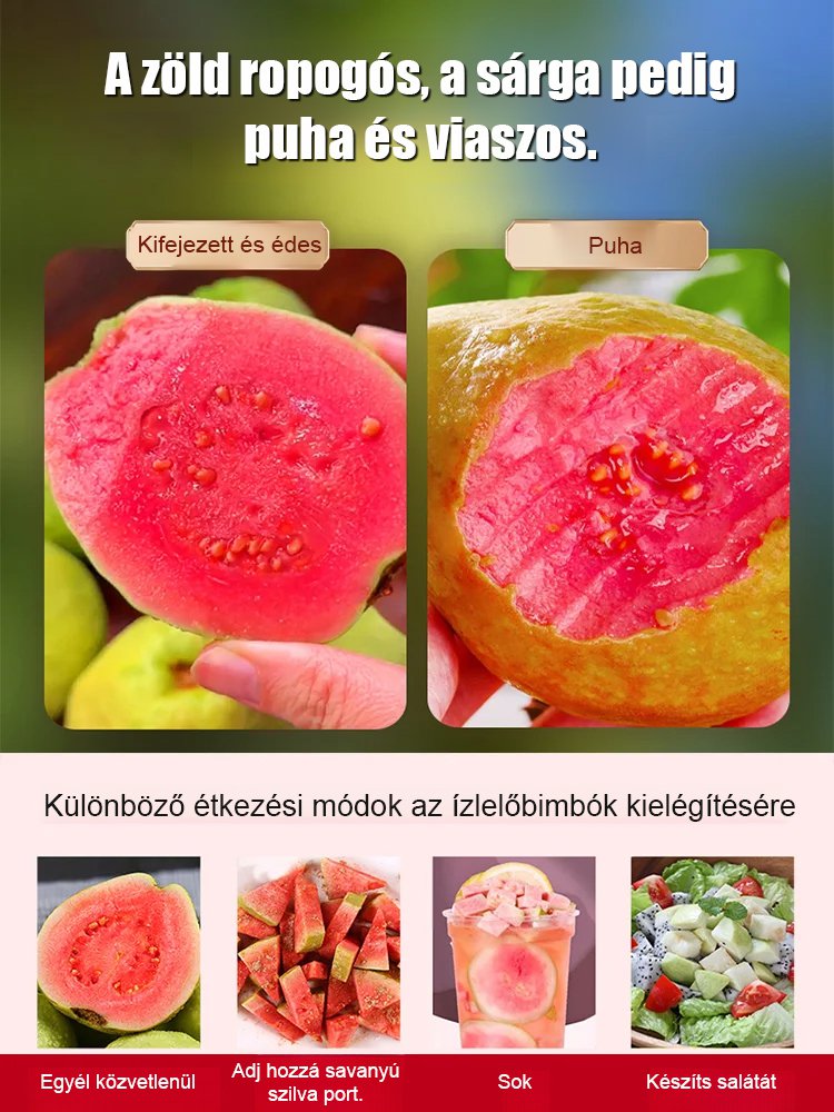 【Lágy és édes】Vörös szív guava magok