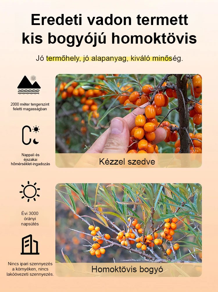 Homoktövismag-olaj szemvédő lágyzselatin kapszula