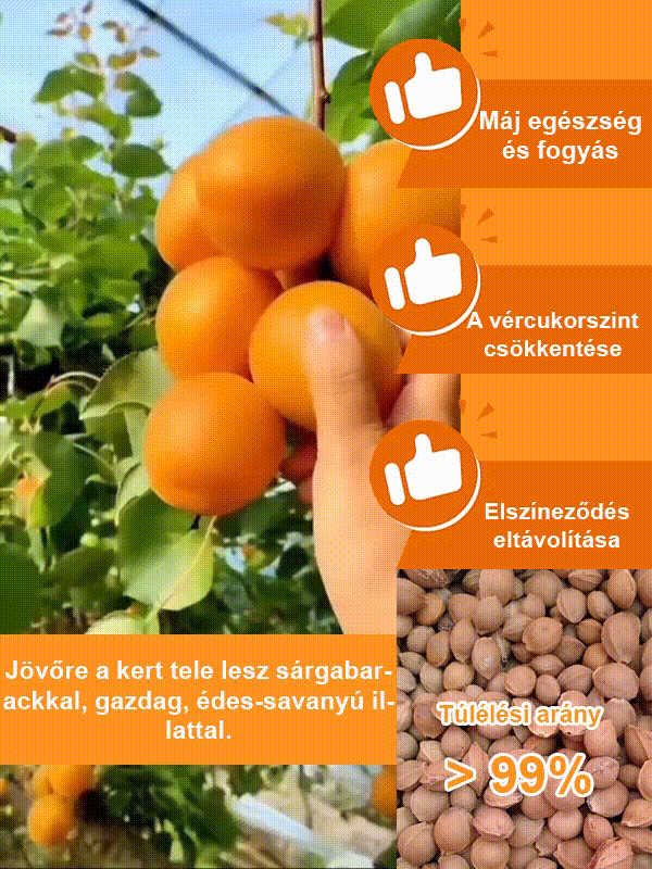 Nagy gyümölcsű, korán érő, bőtermő, édes császári sárgabarack mag