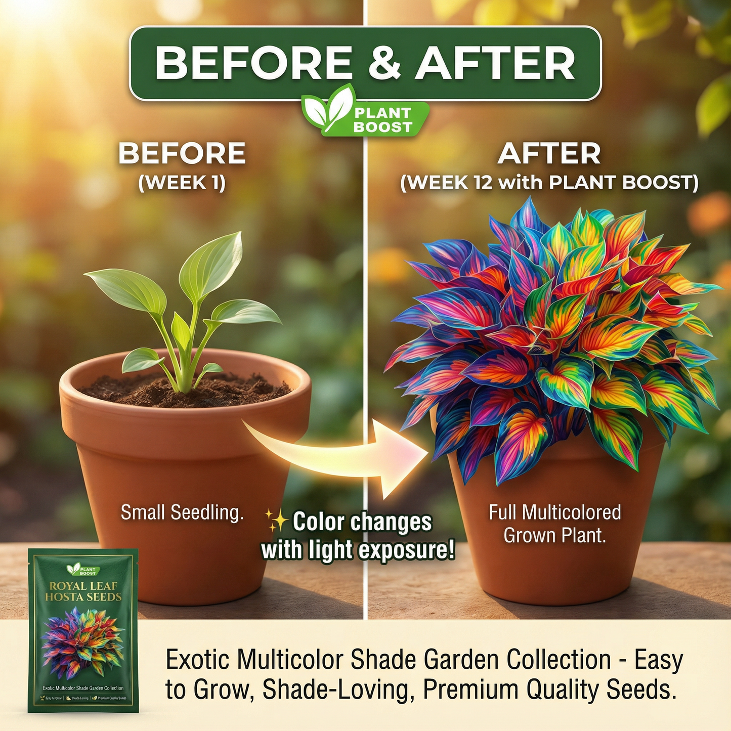 Royal Leaf vendégmagok