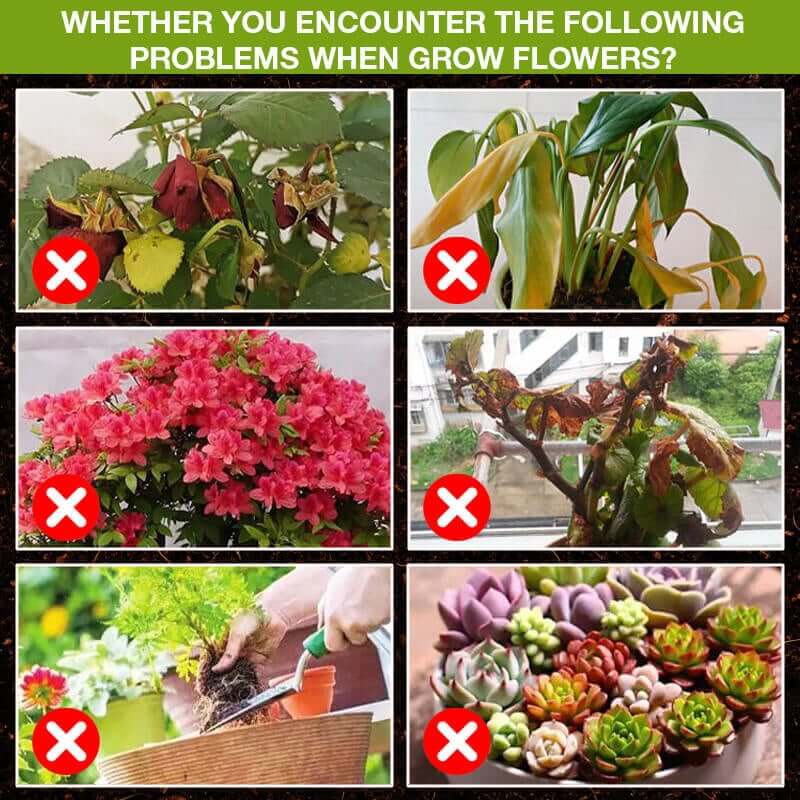 💥Vásárlás 1 kap 2 ingyen🌿Növényi növekedés fokozó kiegészítő🌈