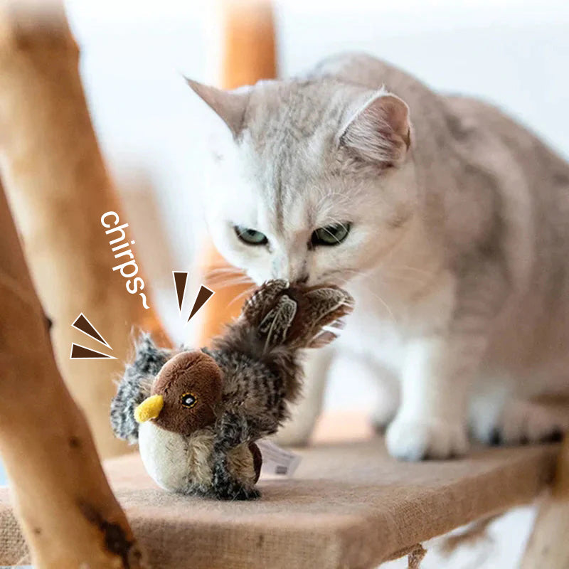 🐱 FRISSÍTETT ARCÚ MACSKAJÁTÉK🐦
