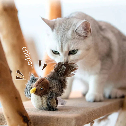 🐱 FRISSÍTETT ARCÚ MACSKAJÁTÉK🐦